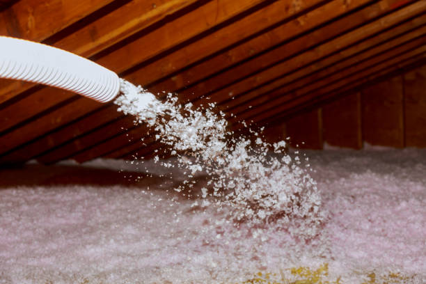 Best Cellulose Insulation in Wildwood, FL