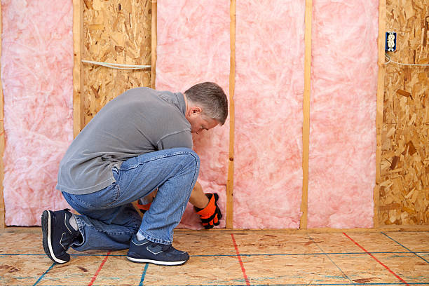 Best Insulation for Specific Applications in Wildwood, FL