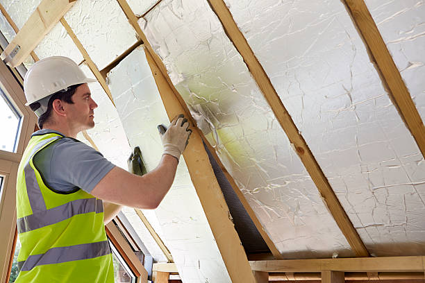 Best Fiberglass Insulation in Wildwood, FL