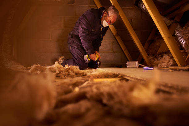 Best Energy Efficiency Insulation in Wildwood, FL