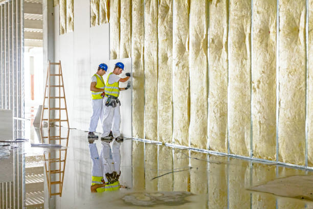 Best Insulation Maintenance and Repair in Wildwood, FL